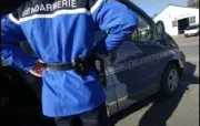 Meurtre au couteau à Sarrebourg : un homme en garde à vue