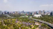 Mexico s'enfonce de 24 cm par an : les causes révélées par la NASA