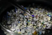 Micro et nanoplastiques accélèrent le réchauffement climatique