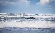 Mimizan : l'épave du pétrolier grec Apollonian Wave réapparaît 44 ans après