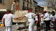 Montagnac : la chèvre, symbole identitaire et patrimoine vivant