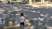 Montpellier suffoque : les jets d'eau de l'esplanade pris d'assaut par les familles