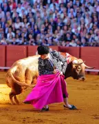 Morante de la Puebla confirmé à Nîmes le 23 mai après sa blessure