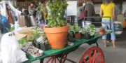 Mouguerre : marché de printemps festif au trinquet Ibar ce dimanche