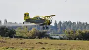 Moustiques : après 2025 record, 2026 sous surveillance renforcée