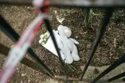 Narcotrafic : le tireur d'aujourd'hui est la victime de demain