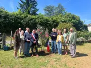 Nastringues : un olivier pour le 8 Mai et la paix