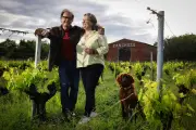 Nouvelle génération de vignerons redessine l'avenir du blanc à Pessac-Léognan
