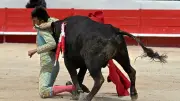 Nouvelles rassurantes pour le jeune torero nîmois Rémy Asensio
