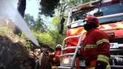 Oise : 140 pompiers s'entraînent aux feux de forêt, un risque désormais réel