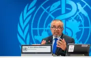 OMS aux Canaries pour coordonner l'évacuation du paquebot touché par l'hantavirus