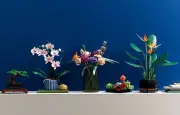 Orchidée LEGO : le set botanique pour adultes à 49,99 €