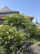 Orthez : Fête de la nature du 20 au 25 mai, animations gratuites