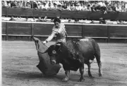Paco Camino, le messie des arènes de Roquefort en 1959