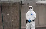 Pays-Bas : 12 soignants en quarantaine après une erreur de procédure face à un cas d'hantavirus