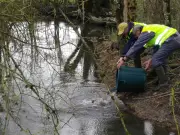 Pêcheurs du sud Charente : entre passion et défis écologiques
