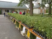 Petit Marché de Caubios-Loos : 9e édition le 8 mai aux Plaçots
