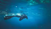 Plongeur apnéiste décède en mer à Fréhel, Côtes-d'Armor