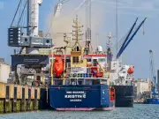 Pollution sonore sous-marine : une menace invisible pour la biodiversité