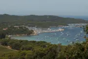 Porquerolles : un comité de gestion pour réguler le mouillage et protéger la posidonie