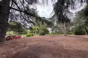 Pourquoi les jeux Belle-époque ont quitté le parc Carol-de-Roumanie à Nice