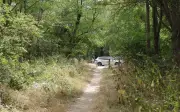 Prostitution au Bois de Boulogne : le témoignage bouleversant de Stella Rocha