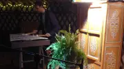 Quand les plantes font de la musique : un concert insolite dans l'Hérault