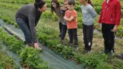 Ramène ta fraise : atelier pâtisserie pour enfants réussi à Belvézet