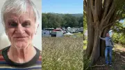Rave-party, disparition, Poste fermée, Comédie du Livre, orme remarquable : actu région