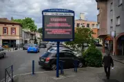 Recherches intensives pour retrouver le cobra à Castelginest