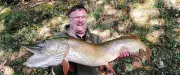 Record : un brochet de 1,19 m et 11,1 kg pêché dans l'Hérault