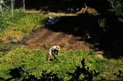 Rencontre citoyenne sur l'eau et le climat dans le Périgord vert