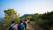 Retour des balades Vins et saveurs dans le Grand Pic Saint-Loup