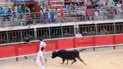 Retour des Prémices aux arènes de Vauvert dès le 21 mai