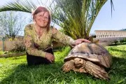 Retraitée varoise transforme sa maison en sanctuaire pour tortues