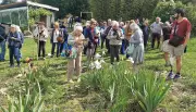 Réouverture de l'iriseraie de Papon : 3 000 variétés d'iris à découvrir