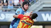 Rugby : Montpellier, l'ogre qui terrifie l'Europe, en finale de Challenge Cup