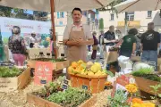 À Saint-Tropez, les producteurs transmettent leur passion au public