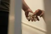 Saisie de plus de 5 kg de cannabis et d'ecstasy à Nice : deux hommes interpellés