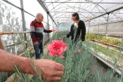 Sauver les fleurs anciennes pour l'horticulture de demain dans le Var
