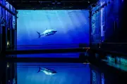 Sea-Score : un questionnaire pour mesurer son impact sur les océans