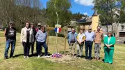 Serverette : un saule planté sur les bords de la Truyère pour la renaissance