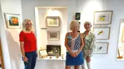 Six artistes célèbrent la nature au Coin d’Art à Olonzac