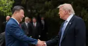 Sommet Trump-Xi : une démonstration de force sous couvert d'amitié
