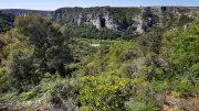 Sortie nature gratuite à Collias pour découvrir la garrigue