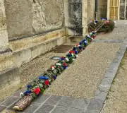 Soustons : le mai abattu par des rivaux, le maire condamne cette tradition