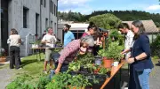 Succès du troc aux plants à l'école de Génolhac