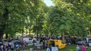 Succès du vide-greniers de Malataverne : 151 exposants et une belle affluence
