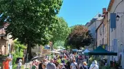 Succès populaire pour le Rendez-vous jardinier à Vabres-l'Abbaye