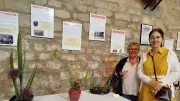 Succès pour la rencontre annuelle d'Ikebana à Saint-Quentin-la-Poterie